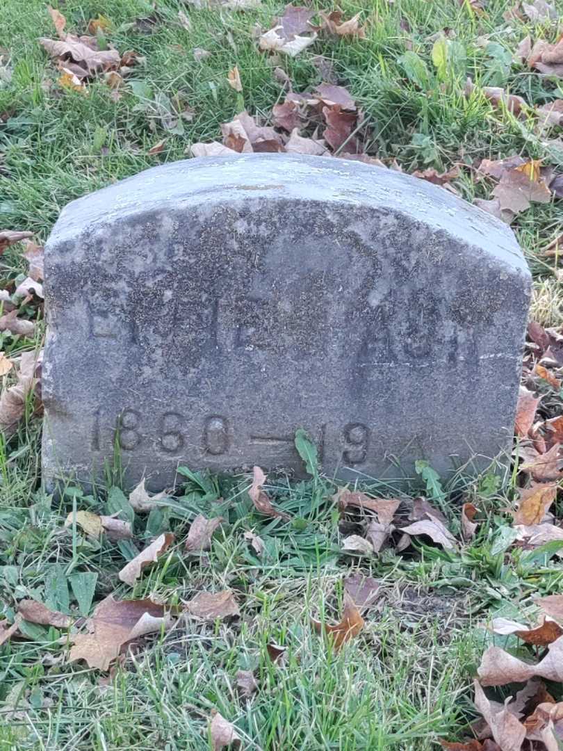 Effie A. Haun's grave. Photo 4