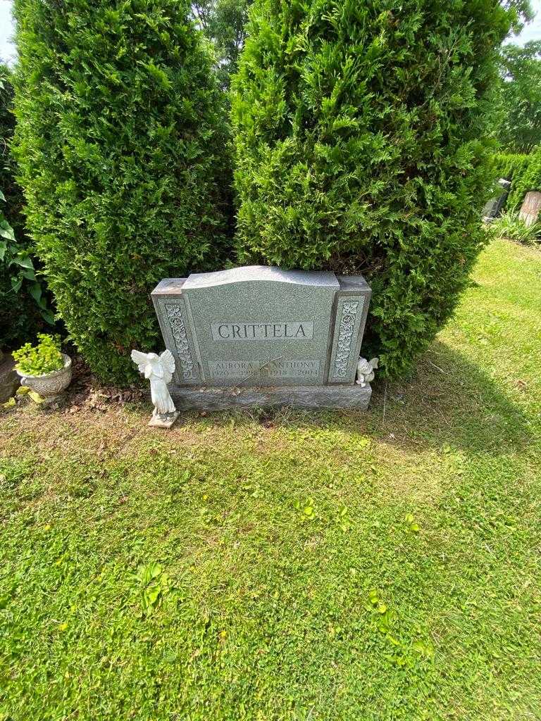 Anthony Crittela's grave. Photo 1