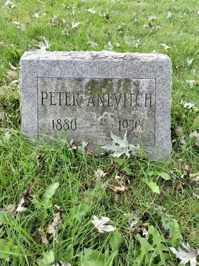 Peter Anevitch's grave. Photo 3