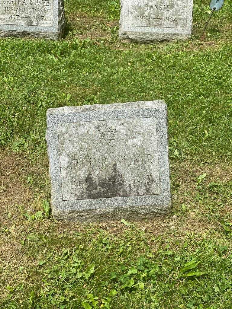 Arhur Weiner's grave. Photo 3