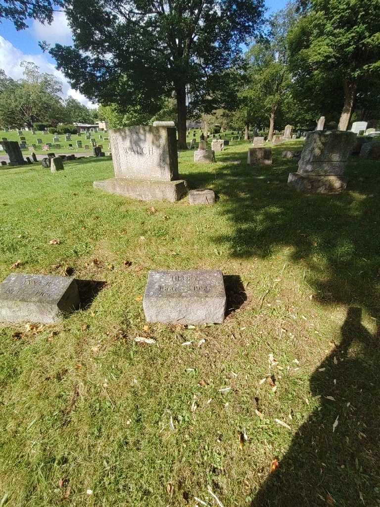 Henry Walch's grave. Photo 1