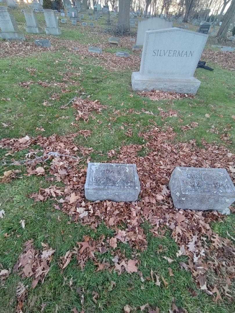 Ida Soblovage Silverman's grave. Photo 1