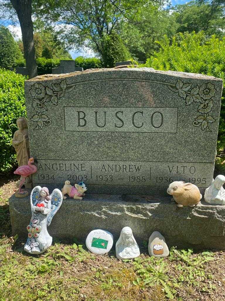 Andrew Busco's grave. Photo 2