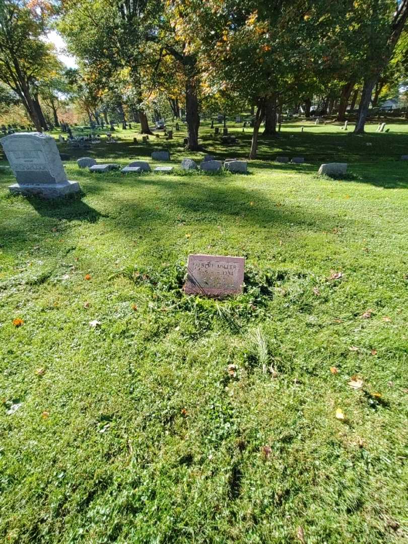 Albert Miller's grave. Photo 1