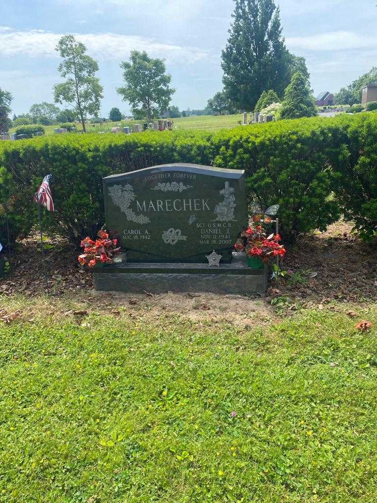 Daniel J. Marechek's grave. Photo 2