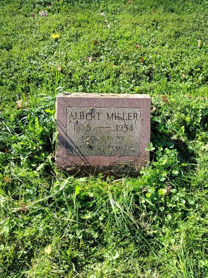 Albert Miller's grave. Photo 2