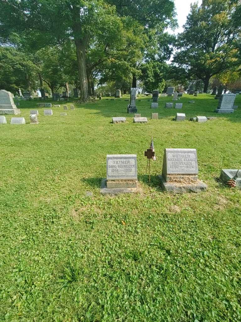 David Schweizer's grave. Photo 1