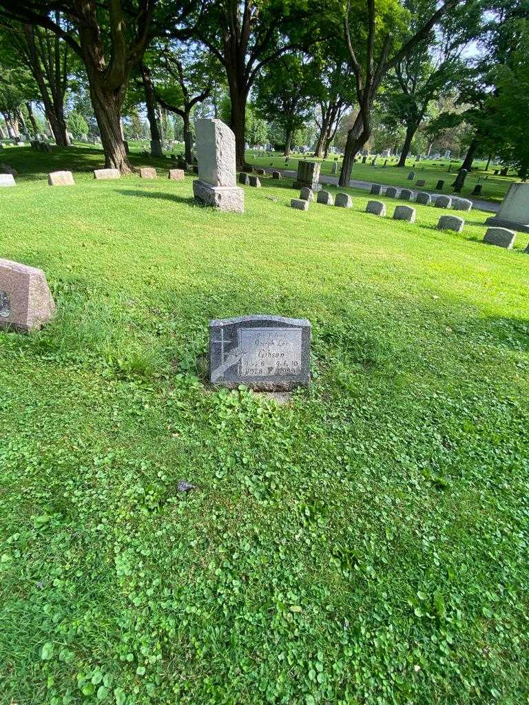 Joseph Lee Gibson's grave. Photo 1
