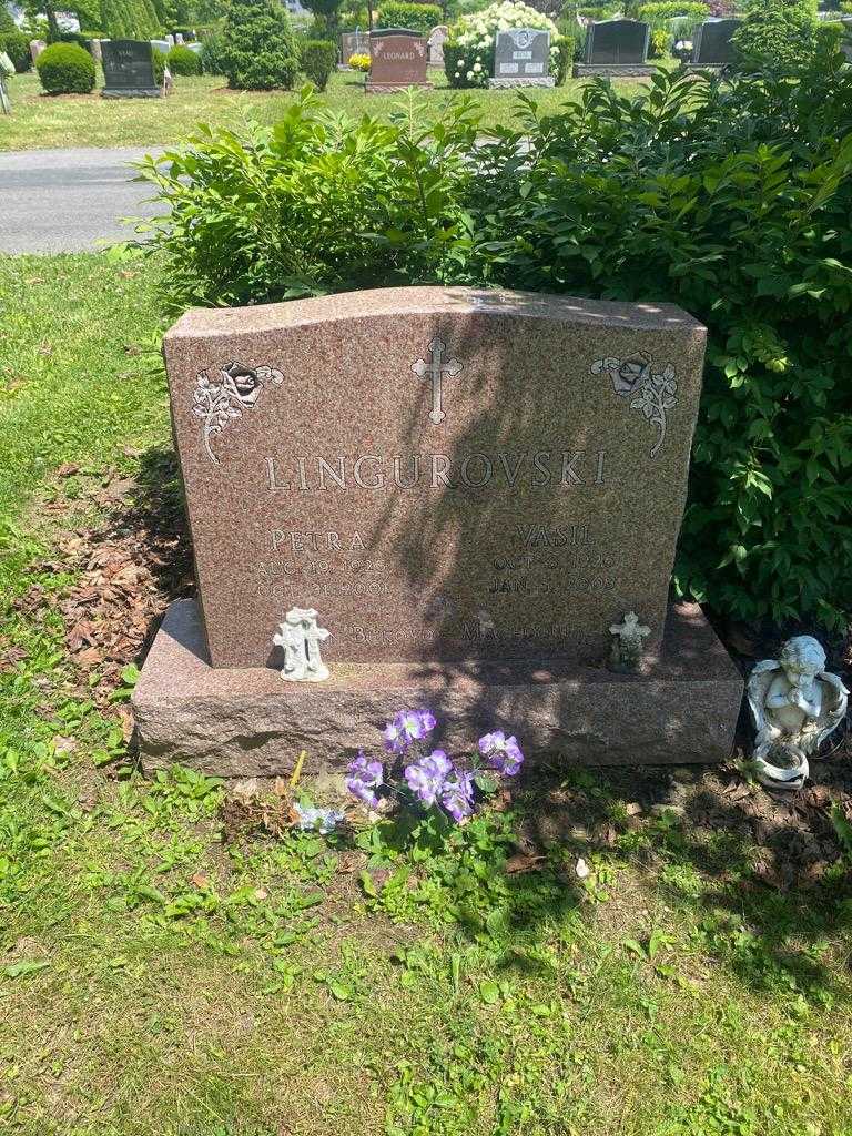 Vasil Lingurovski's grave. Photo 2