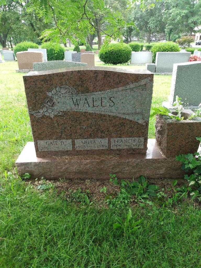 Francis L. Wales's grave. Photo 1