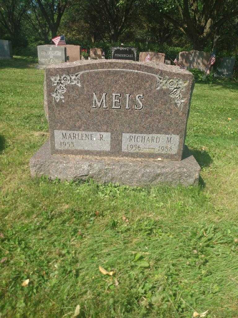 Richard M. Meis's grave. Photo 1