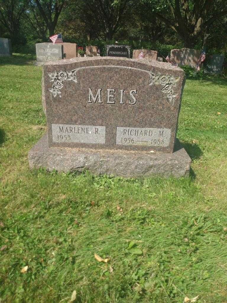 Richard M. Meis's grave. Photo 1