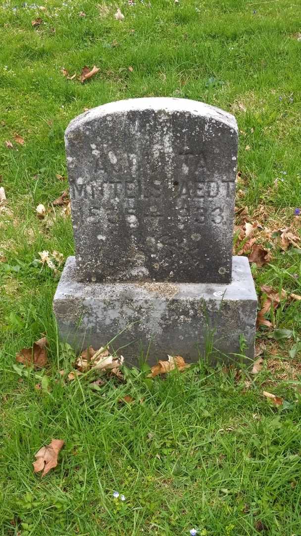 Augusta Mittelstaedt's grave. Photo 3