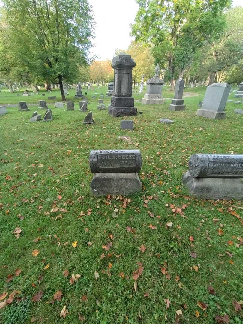 Emil A. Woese's grave. Photo 1