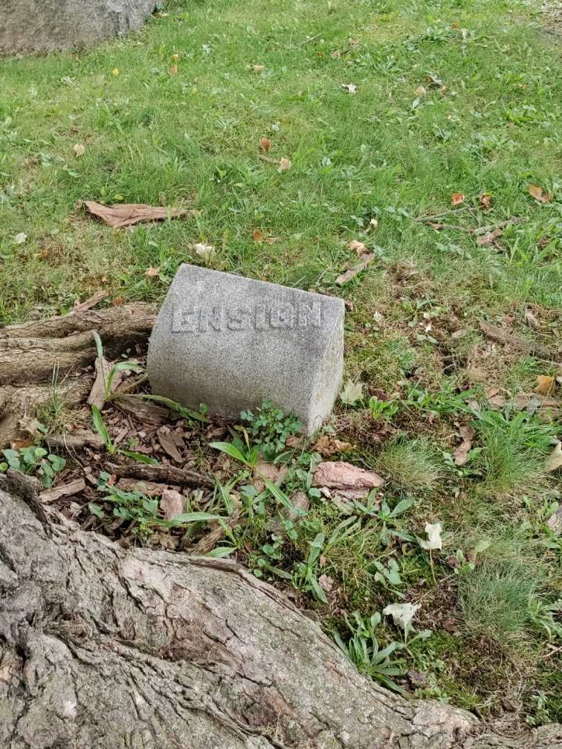 Ensign A. Palmer's grave. Photo 2