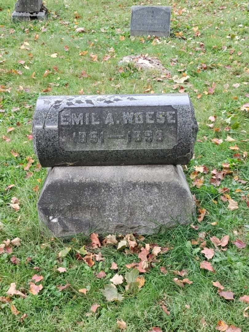 Emil A. Woese's grave. Photo 2