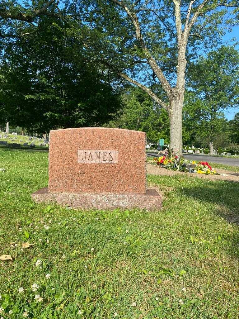 Virginia Janes Langford's grave. Photo 2