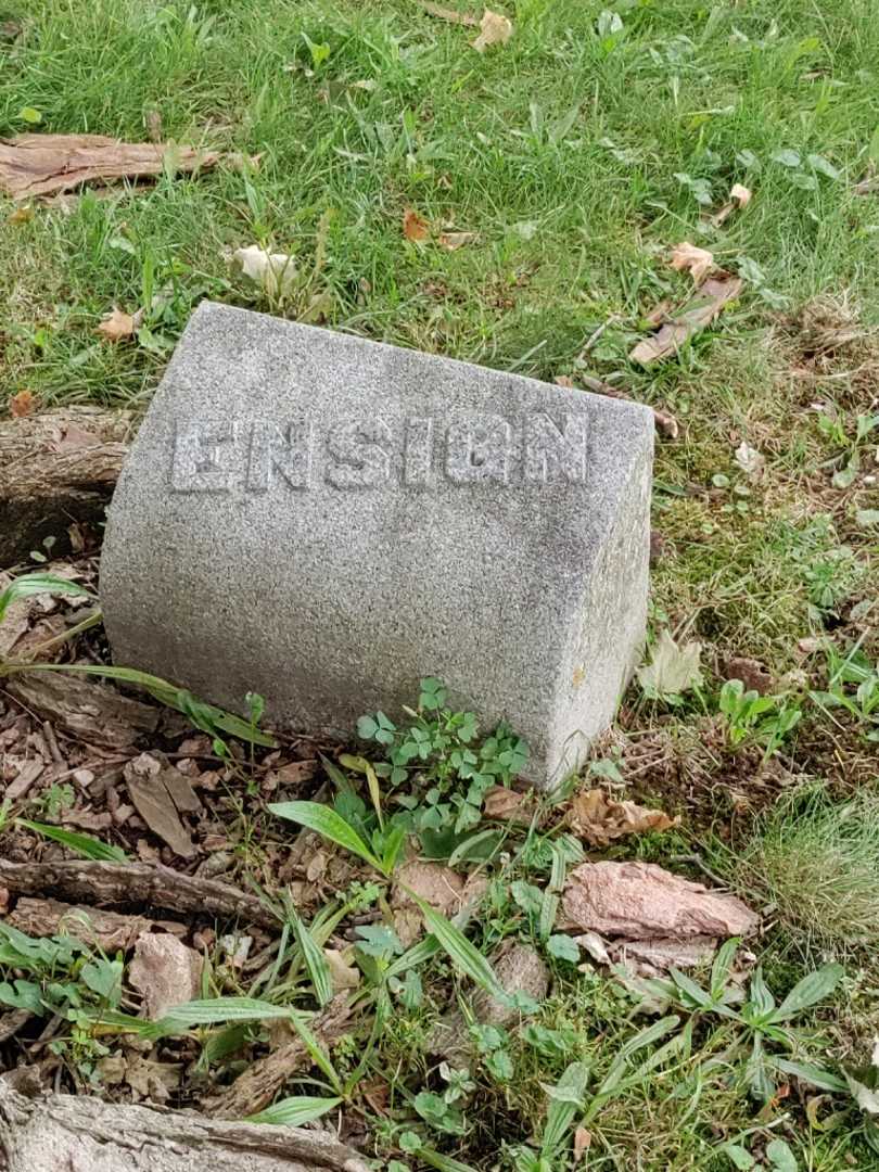 Ensign A. Palmer's grave. Photo 3