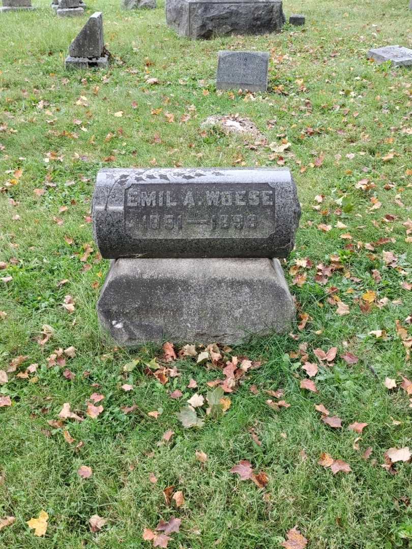 Emil A. Woese's grave. Photo 3