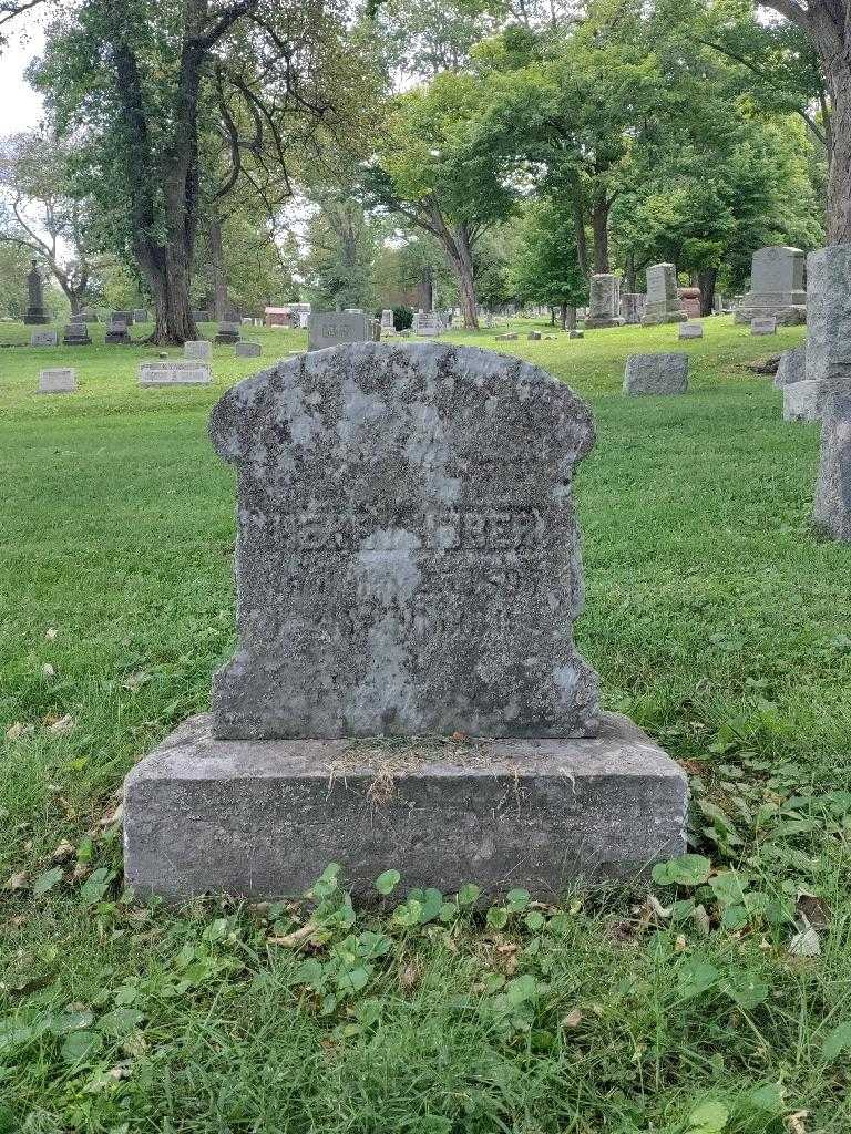 Henry Huber's grave. Photo 2