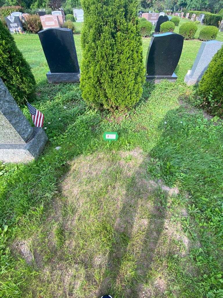 Stephen Jr. Kuss's grave. Photo 1