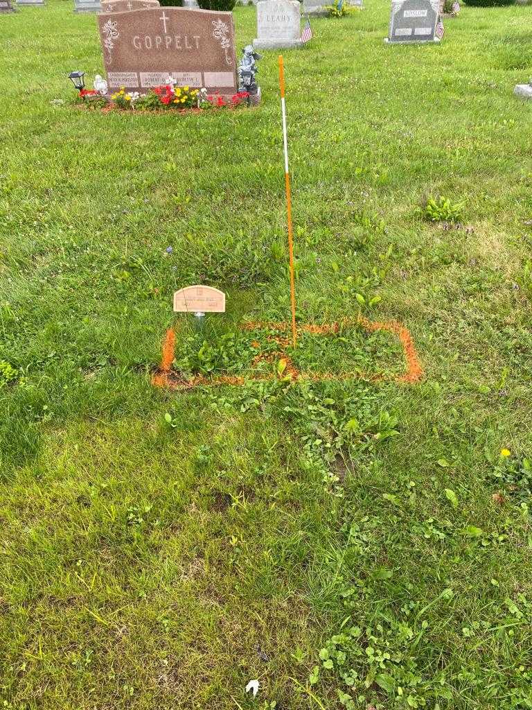 Mary Ann Dine's grave. Photo 2