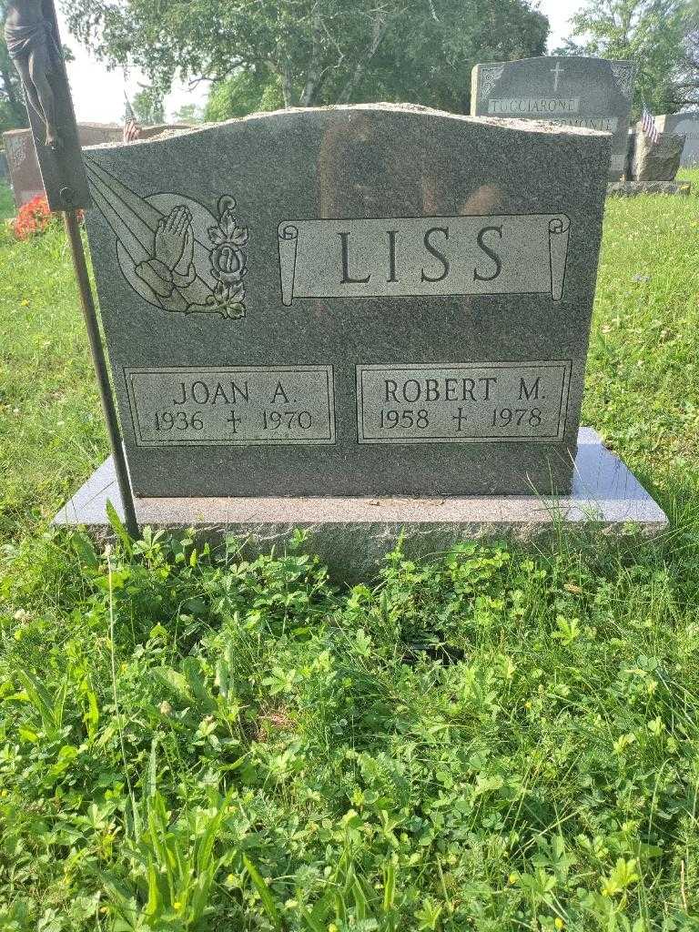 Joan A. Liss's grave. Photo 1