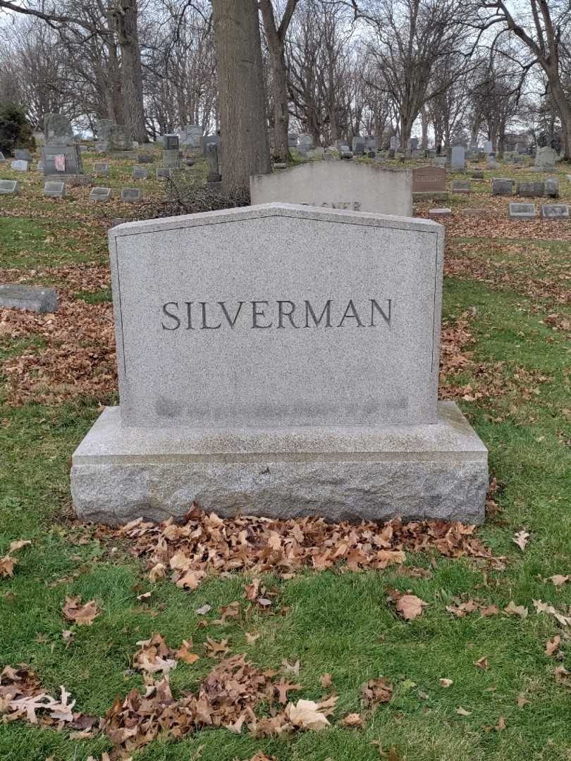 Reba I. Silverman's grave. Photo 4