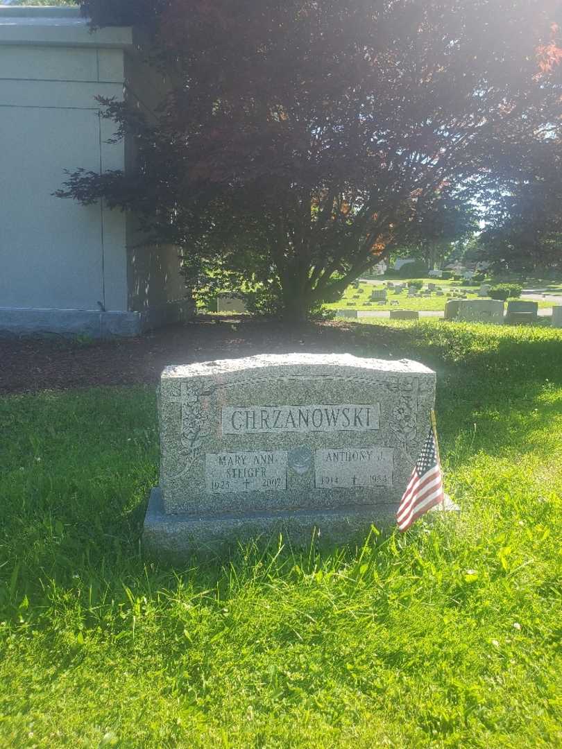 Anthony J. Chrzanowski's grave. Photo 2