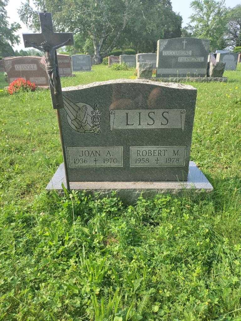 Joan A. Liss's grave. Photo 2