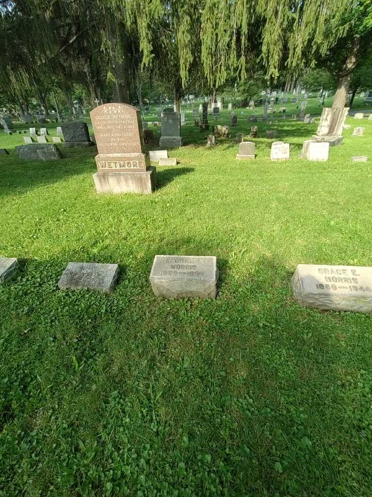 George W. Morris's grave. Photo 1