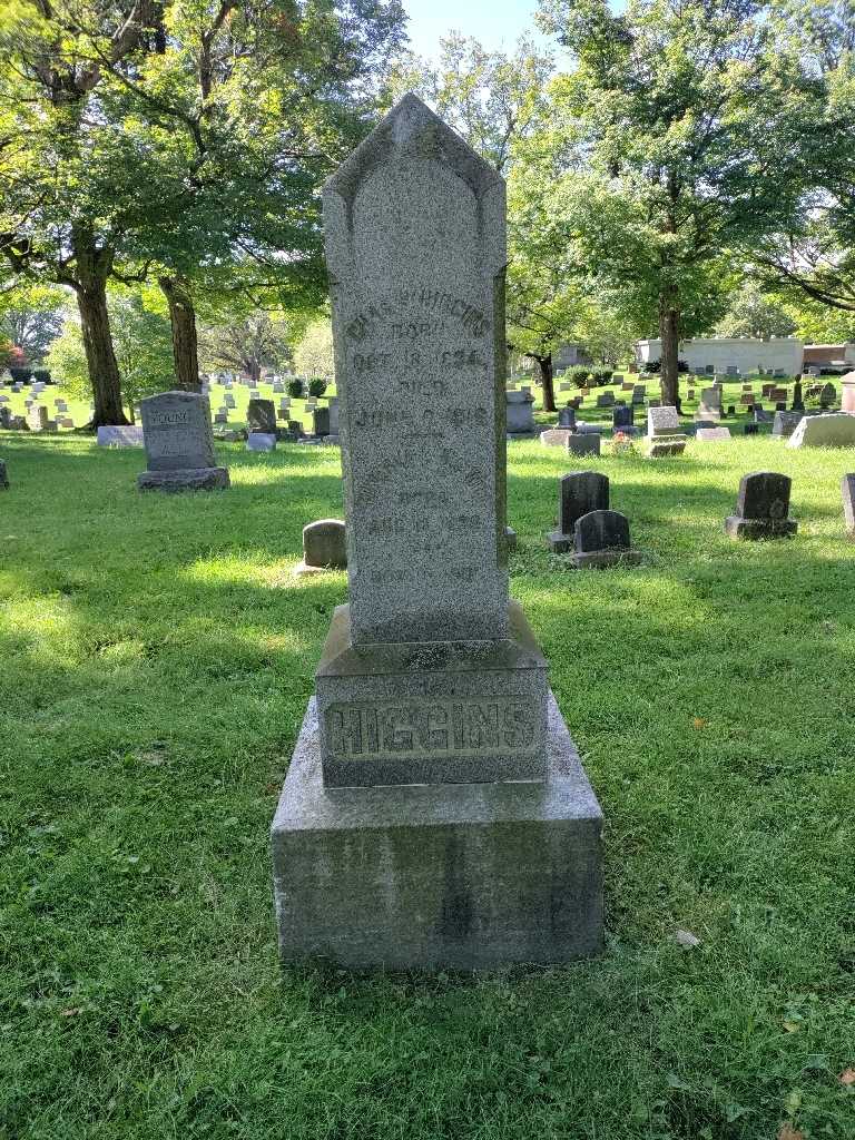 Minerva L. Higgins's grave. Photo 3