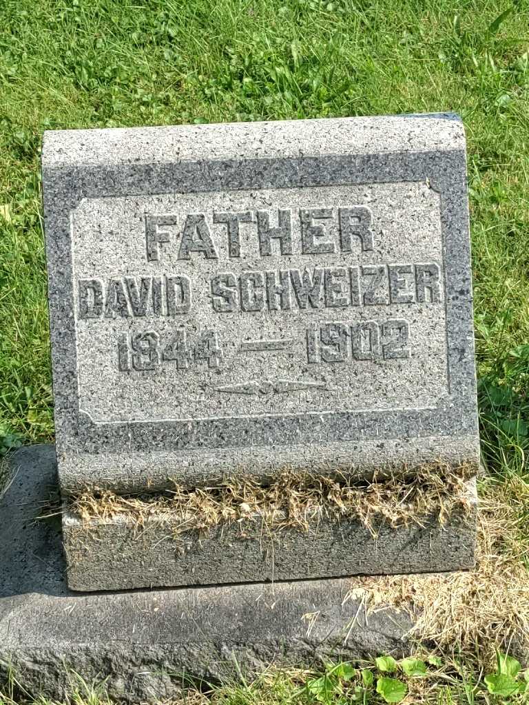 David Schweizer's grave. Photo 3