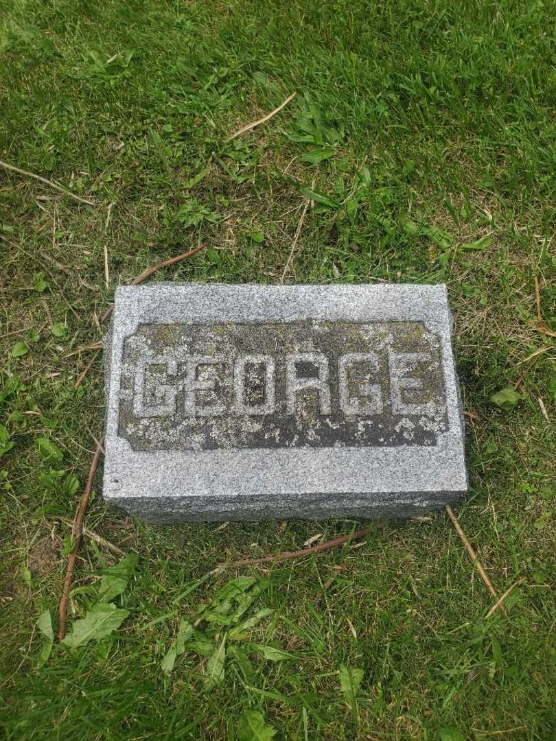 George J. Ribel's grave. Photo 5