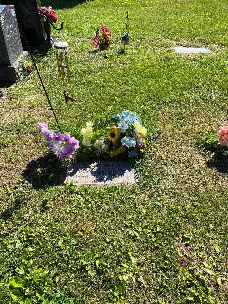 Karen R. Bender's grave. Photo 2