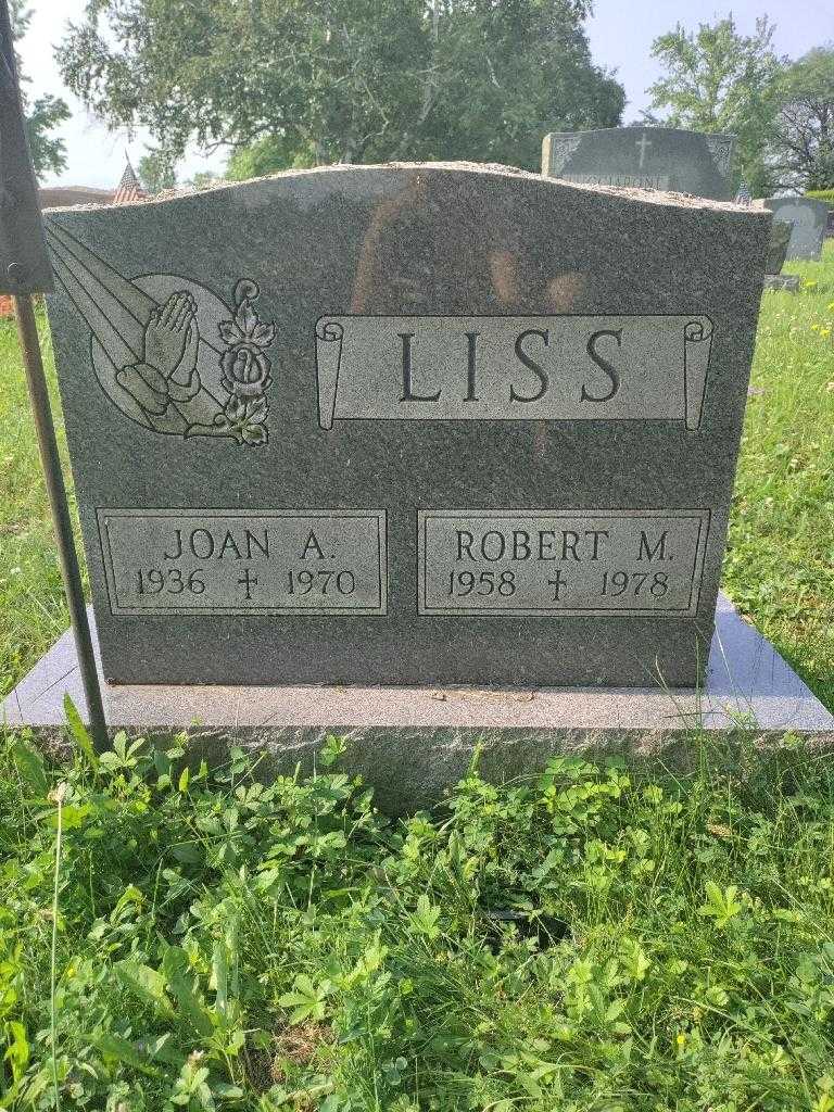 Joan A. Liss's grave. Photo 3