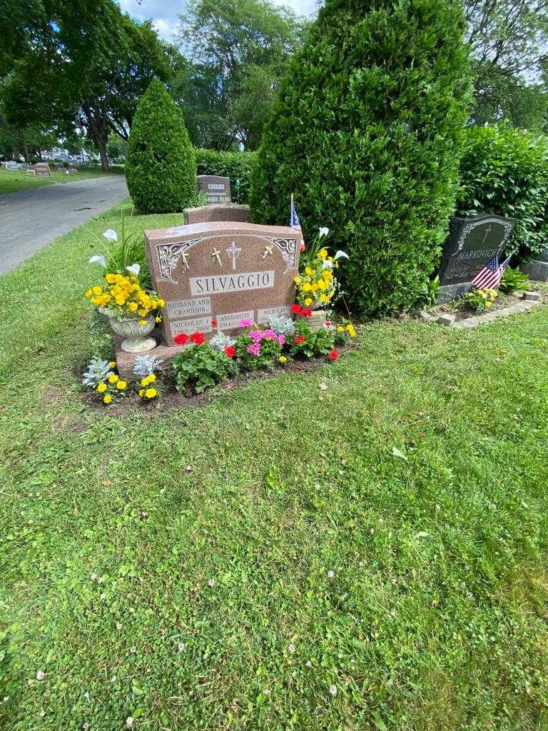 Nicholas Silvaggio's grave. Photo 1