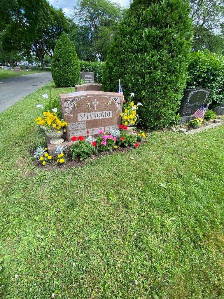 Nicholas J. Silvaggio's grave. Photo 1