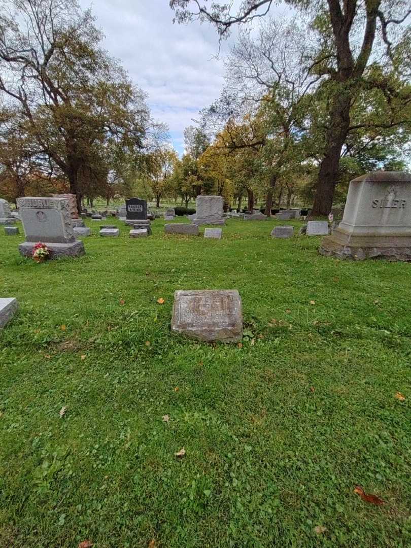 Louisa M. Widrick Eyerman's grave. Photo 1