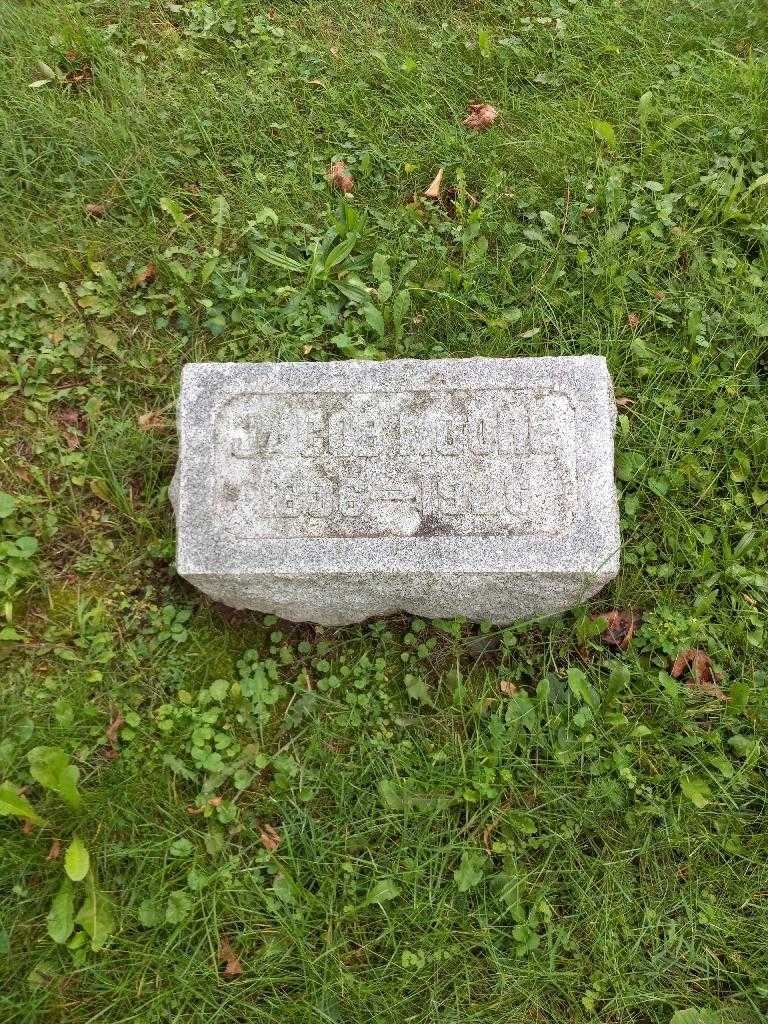 Jacob Moore's grave. Photo 1