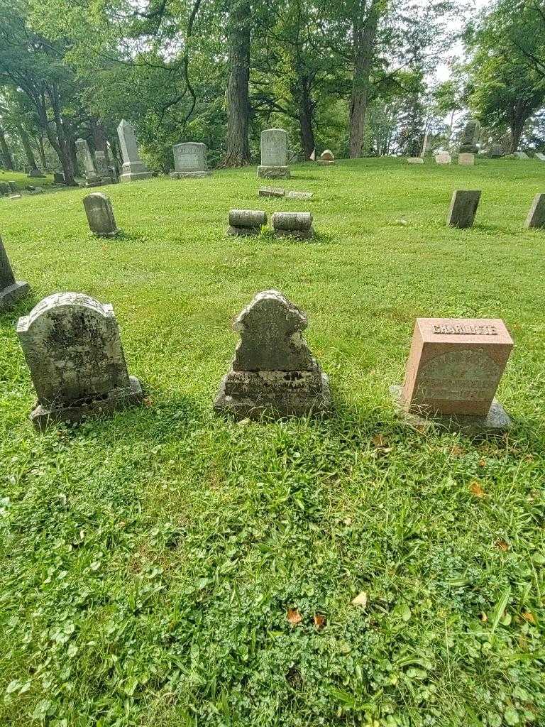 Edward Scheel's grave. Photo 1