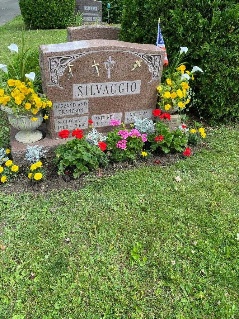 Nicholas J. Silvaggio's grave. Photo 2