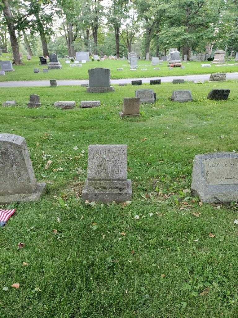 Katherine Weber's grave. Photo 1