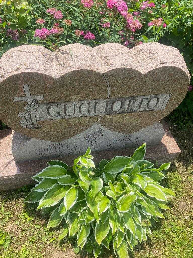 John A. Gugliotto's grave. Photo 3