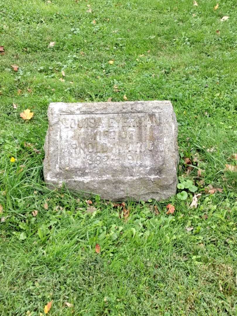 Louisa M. Widrick Eyerman's grave. Photo 2