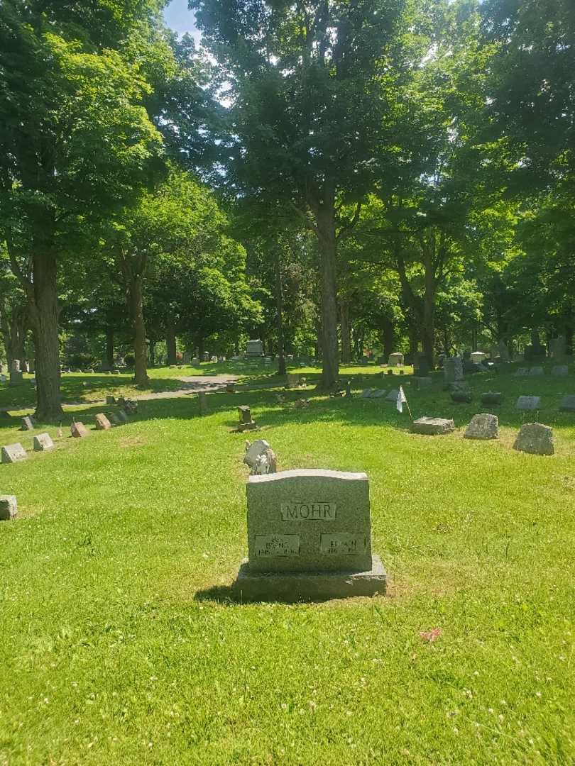 Irving Mohr's grave. Photo 1