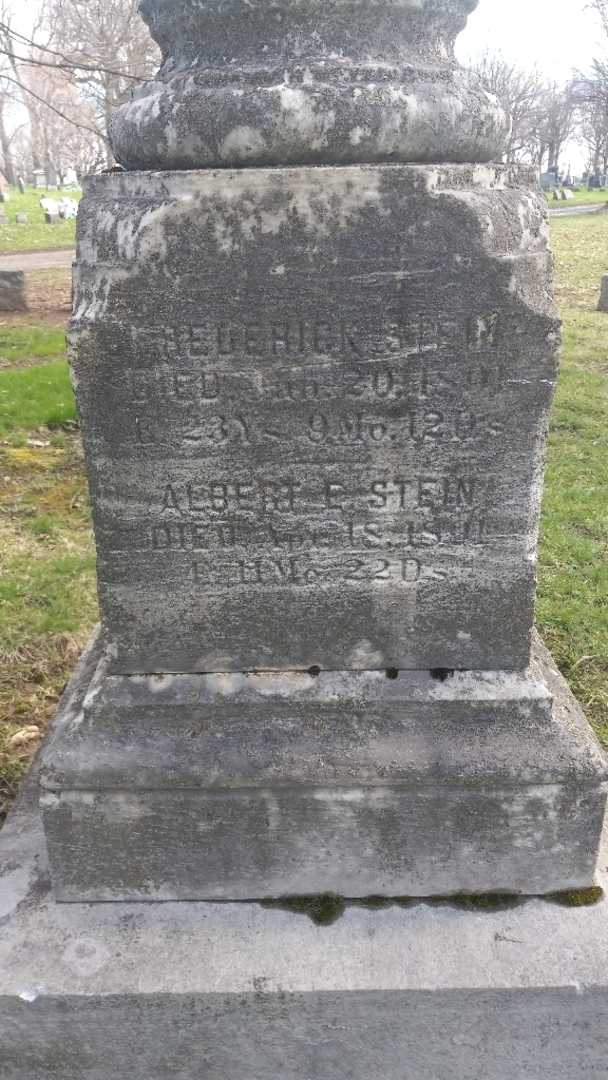 Albert E. Stein's grave. Photo 3