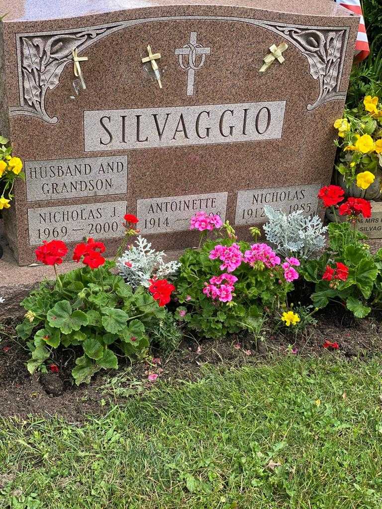 Nicholas J. Silvaggio's grave. Photo 3