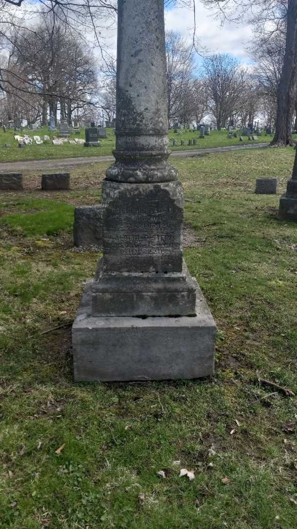 Albert E. Stein's grave. Photo 2