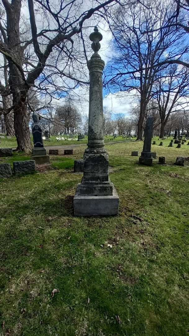 Albert E. Stein's grave. Photo 1
